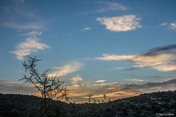 Skyline at Sunset 190226-9