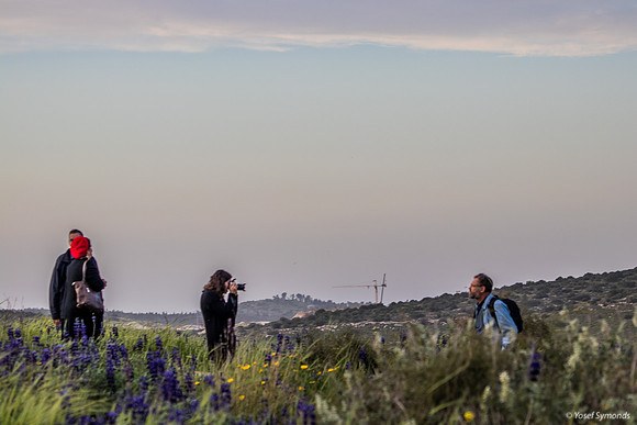Photographer 190226-2