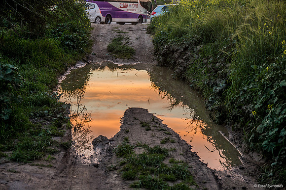 Sunset Reflection 190226-1