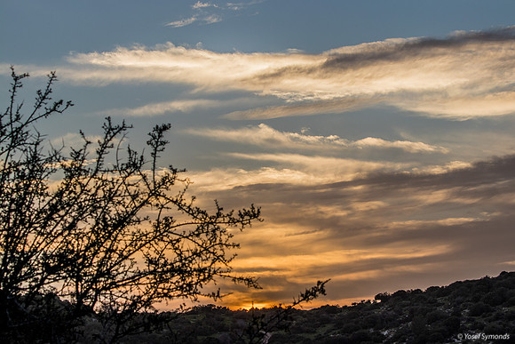 Skyline at Sunset 190226-5