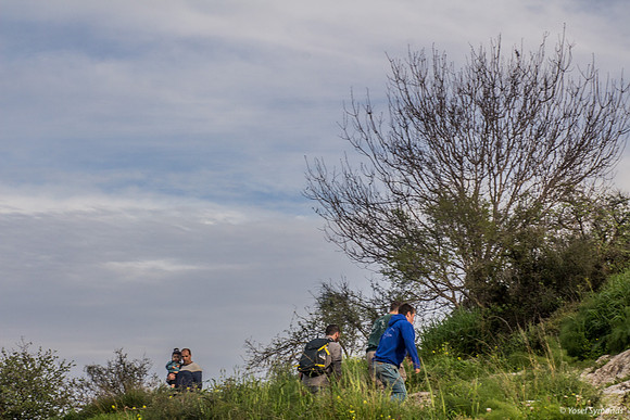 Amongst Last of Hikers 190226-1