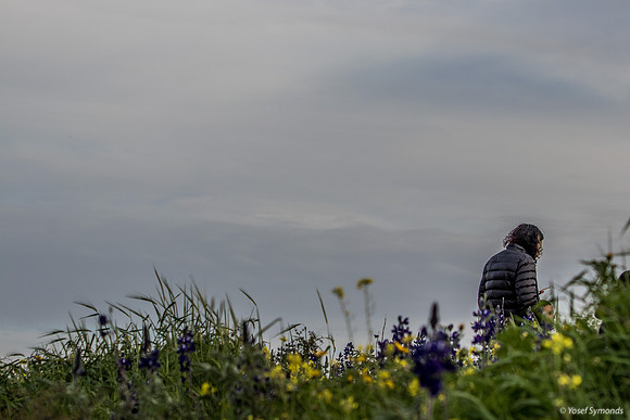 Ethereal Hilltop Scene 190226-2