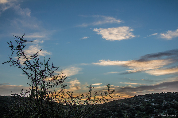 Skyline at Sunset 190226-7