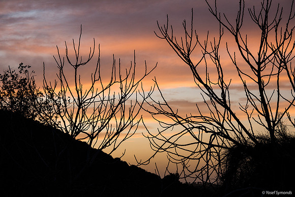 Sunset Through the Hillocks 190226-3