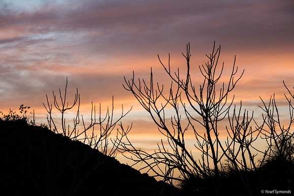 Sunset Through the Hillocks 190226-1