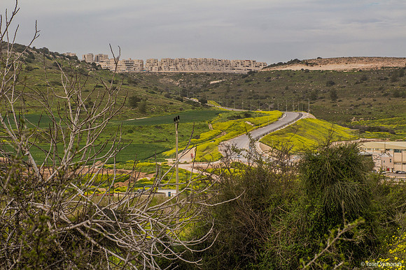 New Road to Ramat Beit Shemesh 190226-1