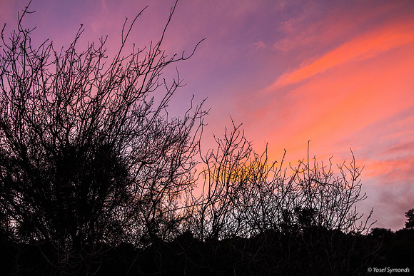Sunset Above the Hillside 190226-3