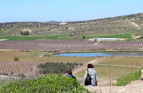 Fields of Kibbutz Lamed Hay 1