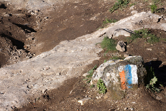 Trail Markers - SPNI 4