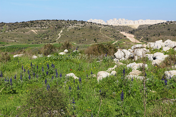 RBS Gimmel 1 in Background 1