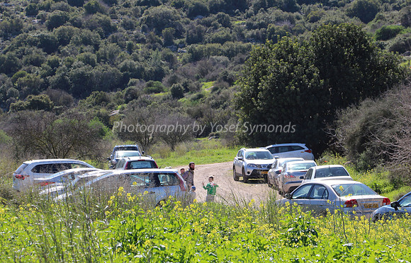 Carpark Starting Point