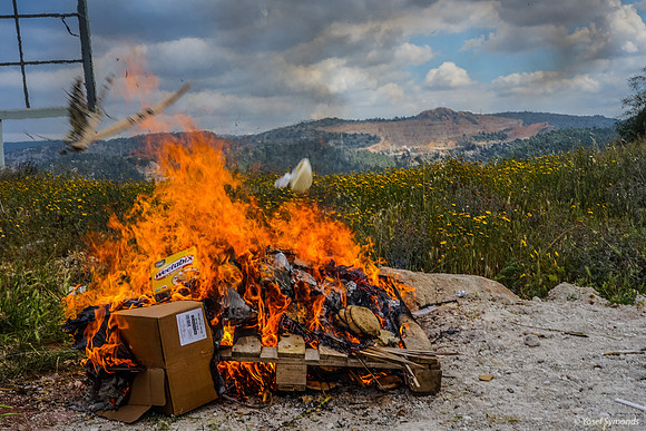 Shooting for the Heart of the Fire 250411-3