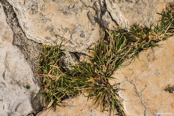 Cracks on Har Habayit 220804-1