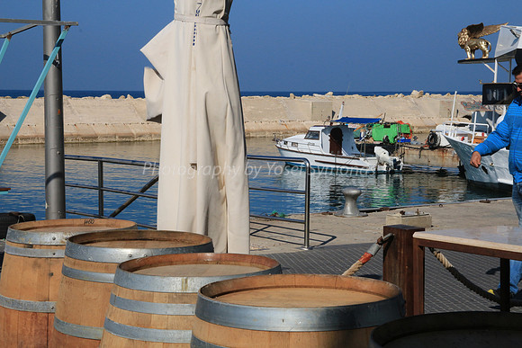 Jaffa Fishing Port