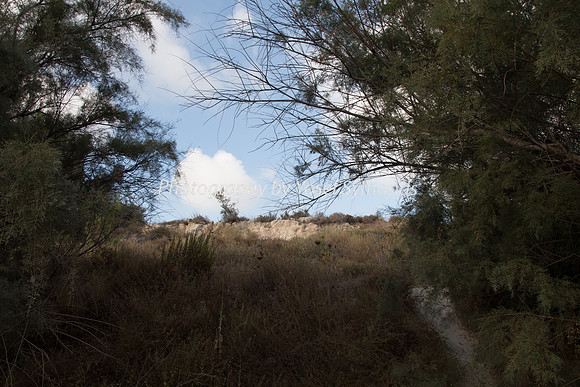 Bike Trail End Opposite Mishkafayim 7985