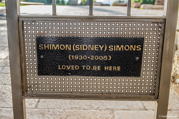 Shimon Simons 1