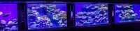 Marine Observatory 220315