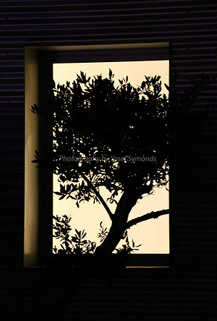 Window at Night 3
