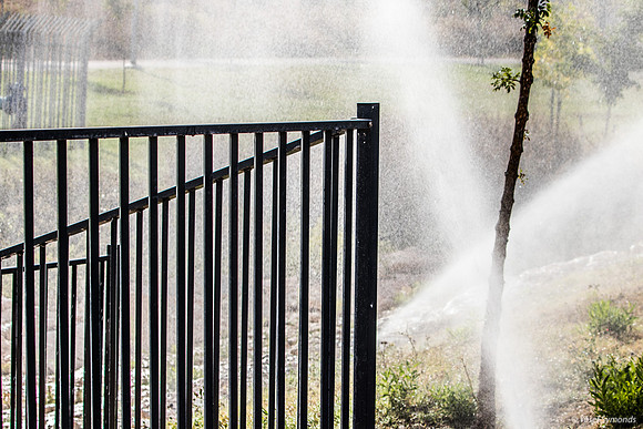 Watering Time 250720-1
