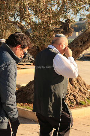 140209-HarHabayit-9790