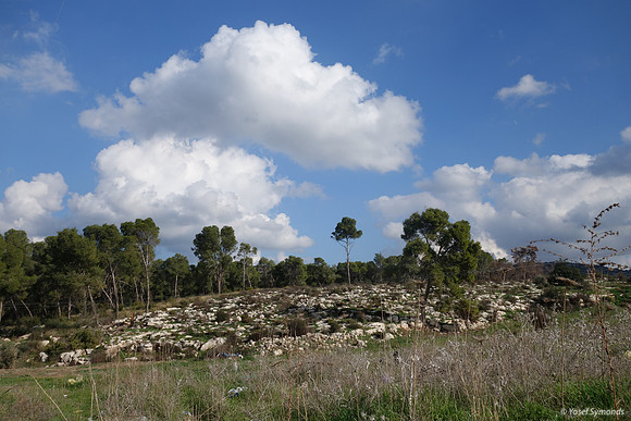 Ramat Beit Shemesh Bet