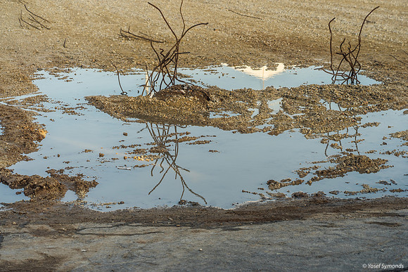Reflection at Police Station Site 240219-22