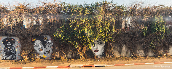 Street Art Outside Sderot 240219-25