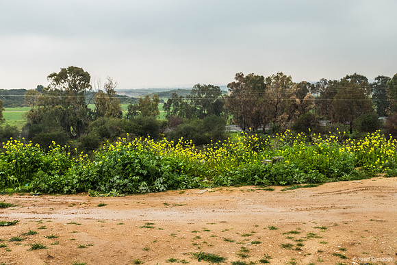 View Westward to Gaza from Sderot
