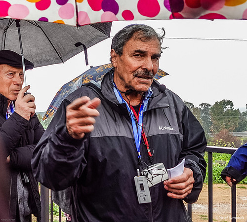 Yossi Maimon - Tour Guide