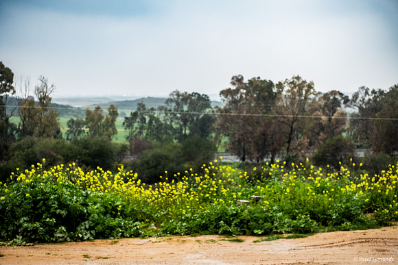 View Westward to Gaza from Sderot