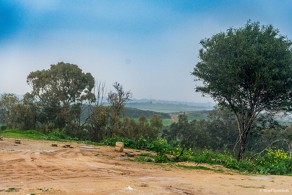 Looking Out Towards Gaza 240219-1