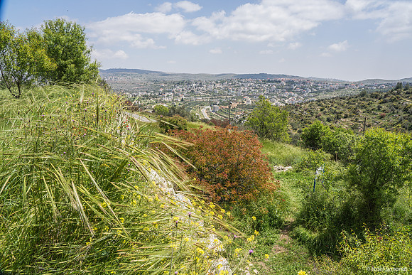 View onto Baytin Beit El  190423-1