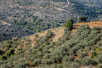 Illegal Agricultural Use of State Land  221220-5