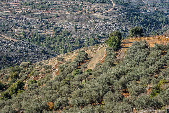 Illegal Agricultural Use of State Land  221220-5