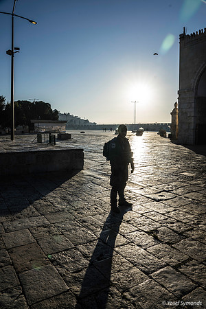 Walking East Into the Early Morning Sun 191205-2