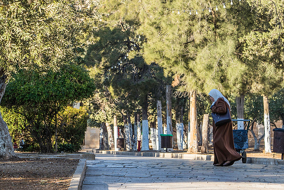 Arab Lady Cutting South to the Dome of the Rock 191205-1