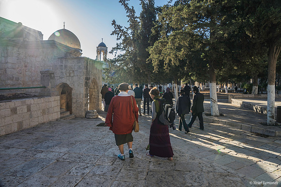 Ladies Amongst the Visitors 191205-2
