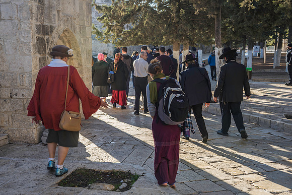 Ladies Amongst the Visitors 191205-3