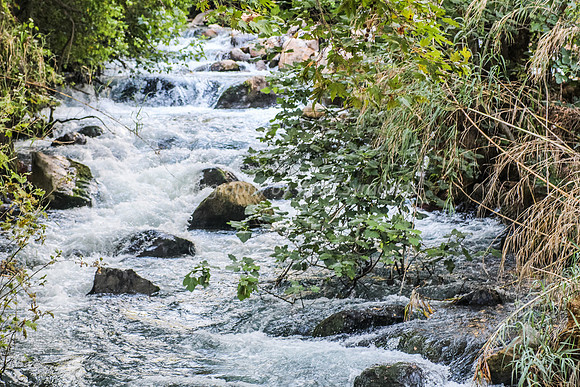 130528-Hula_Valley-2361-2