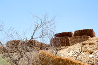 Looking Up at Hay for Dairy - Grofit 1
