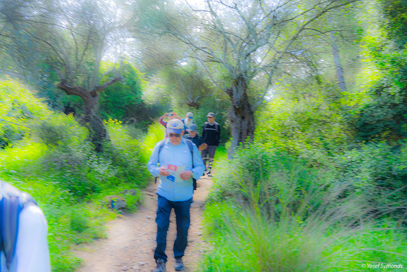 On the Trail 240310-1