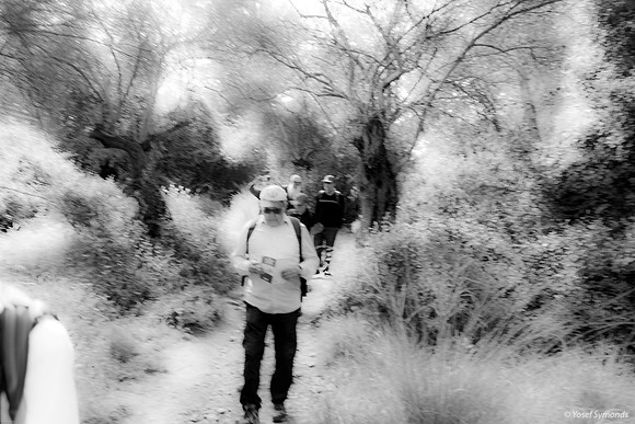 On the Trail 240310-1