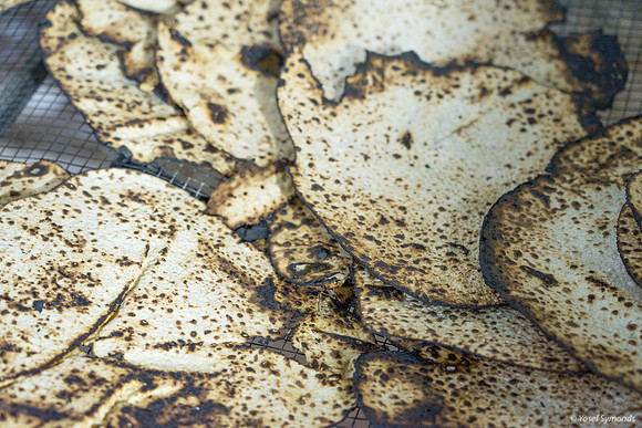 Matza Just Out of Oven 190408-2