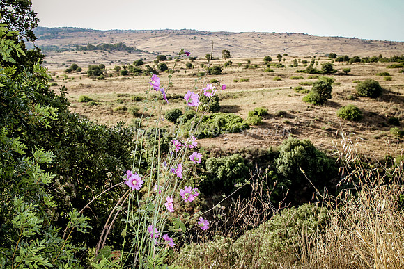 On Slopes of Snir 5