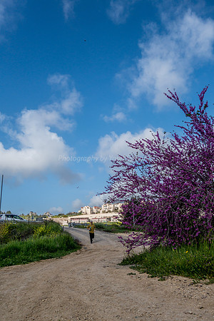 Mishkafayim from the East 180309-2