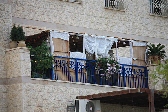 Flower and Sheet Sukkah 1