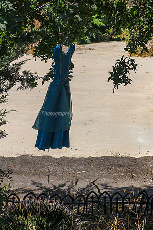 Antique Store Dress 2