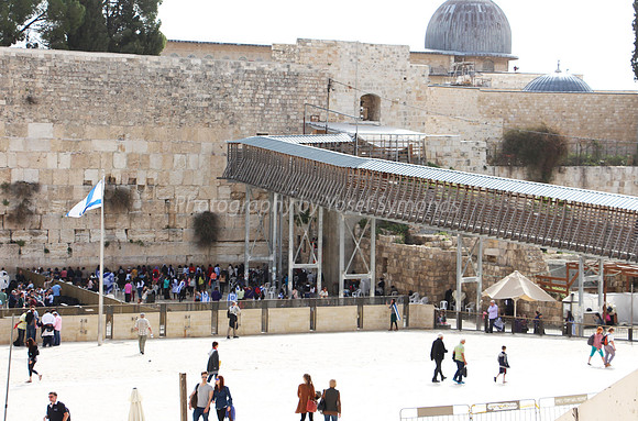Western Wall קוטל המערבי