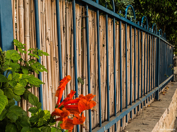 Secretive Fence 250817-1