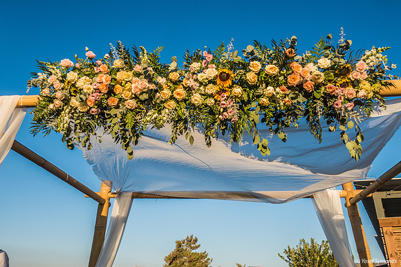 Beauty of Outdoor Chuppah 220912-2